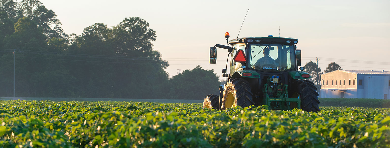 Agricultural Science Major Human Sciences Mississippi State University